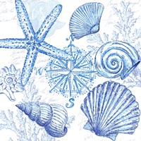 Coastal Sketchbook Shell Toss Framed Print