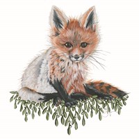 Baby Fox Framed Print