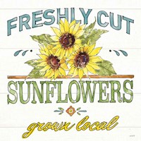 Sunflower Fields III Framed Print