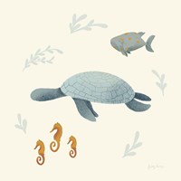 Ocean Life Sea Turtle Framed Print