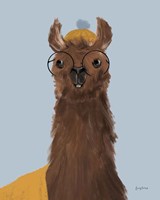 Delightful Alpacas III Framed Print