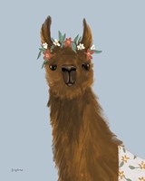 Delightful Alpacas II Framed Print