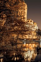 Central Park Glow I Framed Print