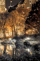 Central Park Glow III Framed Print
