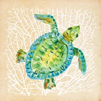 Sealife Turtle Framed Print