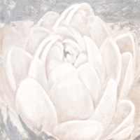 White Grey Flower II Framed Print
