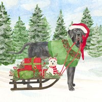 Dog Days of Christmas II Sled with Gifts Framed Print