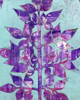 Purple Planta II Framed Print