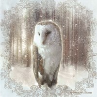 Enchanted Winter Owl Framed Print