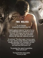 Two Wolves Framed Print