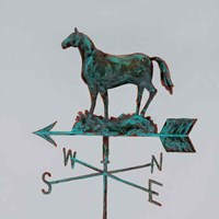 Rural Relic Horse Framed Print