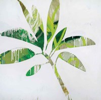Tropical Landscape IV Framed Print