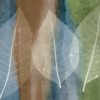Leaf Structure II Framed Print