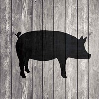 Barn Pig Framed Print