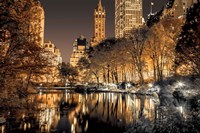Central Park Glow Framed Print