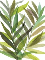 Tropical Greens I Framed Print