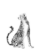 Chrome Cheetah II Framed Print