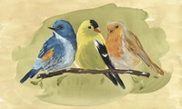 Bird Perch I Framed Print