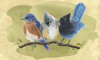 Bird Perch III Framed Print