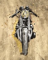 Metallic Rider I Framed Print