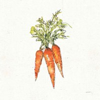 Veggie Market V Carrots Framed Print