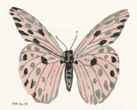 Butterfly 6 Framed Print