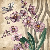 Boho Orchid & Dragonfly II Framed Print