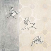 Sparrows Alighting Framed Print
