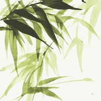 Bamboo IV Green Framed Print
