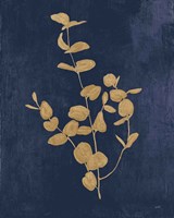 Botanical Study II Gold Navy Framed Print