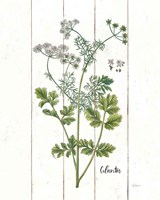 Cottage Herbs III Framed Print