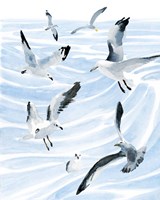 Seagull Soiree II Framed Print
