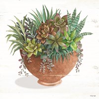Terracotta Succulents II Framed Print