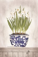 Blue and White Daffodils II Framed Print