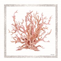 Pink Coastal Coral I Framed Print