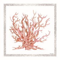 Pink Coastal Coral II Framed Print