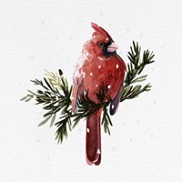Cardinal with Snow I Framed Print