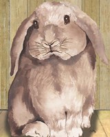 Bunny II Framed Print
