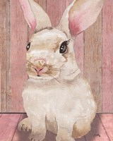 Bunny III Framed Print