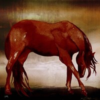 Red Horse I Framed Print