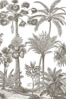 Palm Oasis II Framed Print