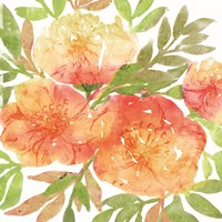 Peachy Floral III Framed Print