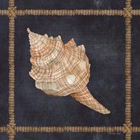 Seashell on Navy IV Framed Print