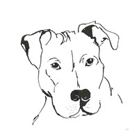 Line Dog Pitbull II Framed Print