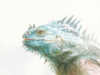Tropical Iguana Framed Print