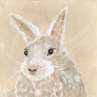 Benny the Bunny Framed Print