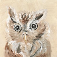 Willow the Owl Framed Print