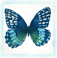 Butterfly I Framed Print