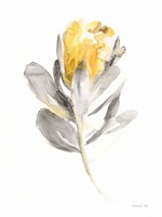 Spirit Flower I Framed Print