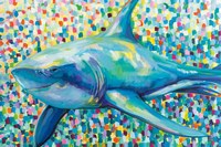 Chatham Shark Framed Print
